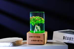 Honor of โคมไฟตั้งโต๊ะคริสตัลสำหรับห้อง<span class=keywords><strong>อ่าน</strong></span>หนังสือข้างเตียง<span class=keywords><strong>ฐาน</strong></span>ไม้โคมไฟคริสตัล LED 3D กลางคืนโคมไฟตั้งโต๊ะ<span class=keywords><strong>ฐาน</strong></span>ไม้ - Product Image 3