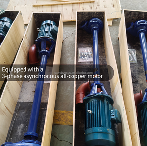 Usine de <span class=keywords><strong>pompe</strong></span> à eau de boue de sable centrifuge submergée à haute efficacité <span class=keywords><strong>pour</strong></span> l'Afghanistan, l'Éthiopie, la Thaïlande, le Nigéria, l'Italie et le Liban - Product Image 3