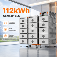 Système Solaire Industriel et Commercial de Stockage d'Énergie par Batterie au Lithium Haute Tension 50 kW, Générateur ESS 112 kWh, Conteneur BESS