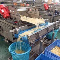 Volledig automatische fruit- en groente productielijn voor voedselverwerking, inclusief automatische reiniging en snijproces.