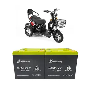 New 12V24ah 20ah Electric Tricycle with Deep Cycle Lead Acid Battery Portable Sealed Economical Golf Cart Alternative