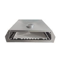 Four à pizza moderne en acier inoxydable, fonction barbecue au charbon de bois, durable et portable, pour l'extérieur