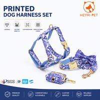 Ensemble de harnais pour chien imprimé personnalisé OEM/ODM, collier et laisse pour chien, faible MOQ, directement de l'usine, accessoire pour animaux de compagnie, pour chiots et chiens.