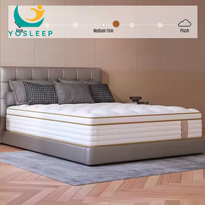 Mềm Đầy Đủ Của Độ Đàn Hồi Túi Mùa Xuân Nệm Không Khí Mùa Xuân Bọt Nệm Phòng Ngủ Đồ Nội Thất Khách Sạn Vừa Công Ty Cho Nhà Máy Giá - Product Image 4