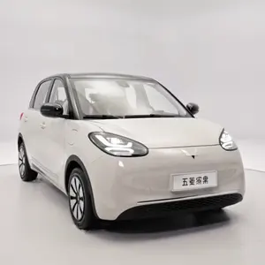 Im Laden 2023 New Wuling Bingo 200km kleine neue Energie fahrzeuge Pure Electric Cars Mini EV Car