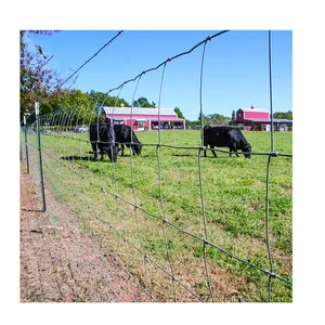 Panneaux de clôture de bétail et de bétail, bon marché, prix d'usine, pour maisons antérieures et chevaux, vente en gros