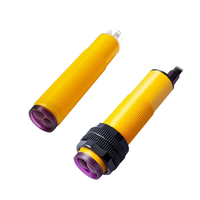 Capteur photoélectrique réfléchissant diffuse à trois fils DC PNP NO 30 mm infrarouge avec câble de 2 m et protection contre l'inversion 300 mA