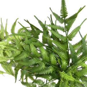 Mur végétal artificiel avec faisceau d'herbe, <span class=keywords><strong>fougère</strong></span> persane, vague verte, <span class=keywords><strong>fougère</strong></span> à plumes - Product Image 4