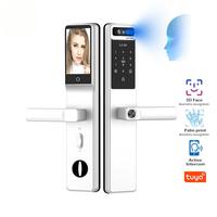 Serrure de sécurité intelligente SAIJIA avec reconnaissance faciale et caméra intégrée WiFi pour porte en aluminium ou en bois