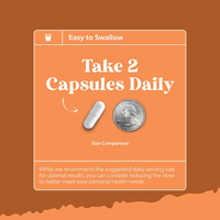 Capsules de soutien de la thyroïde OEM/ODM, vitamine B12, magnésium, zinc, complexe de soutien de la thyroïde à base de plantes, iode