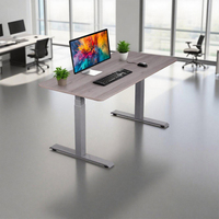 Meubles de bureau ergonomiques Bureau debout réglable en hauteur électrique Moteur double motorisé Table d'ordinateur relevable Cadre de bureau