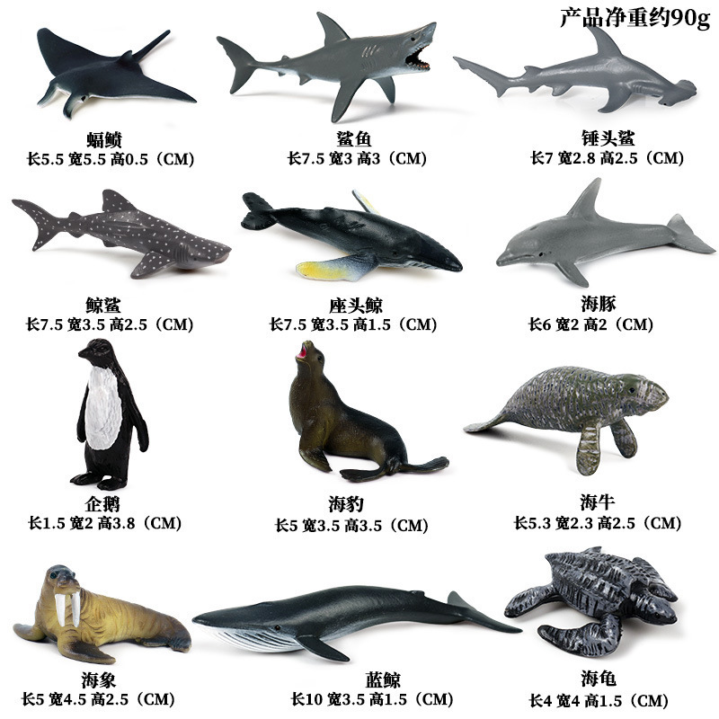 KZ Mini Ocean 12 sets (note size)0.09kg