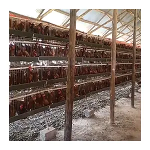 Bulk Sale Automatic Industrial Cheap Layer Animal Cages Large Portable Chicken Coop House Hen Laying Cage For Sale