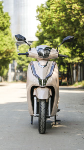 Moto Scooter Urbaine à Deux Roues Haute Vitesse 60V avec Pédales HB-FEIHU – Motos à Vendre Près de Chez Moi - Product Image 4
