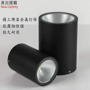 Focos de Techo Redondos COB de Superficie, Impermeables, para Exteriores, Patio, Pasillo, Luminarias de Aluminio - Product Image 2