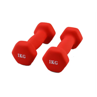 Nouvel arrivage : Ensemble d'haltères hexagonales colorées en vinyle, 1-10 kg, antidérapantes, pour fitness et musculation à domicile