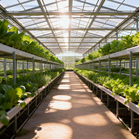 Serre agricole multi-chapelles légère en polycarbonate, grande serre Venlo à haute transparence en plaques PC