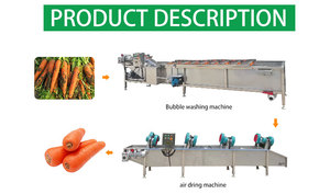 Línea de Procesamiento de Precisión Lulo SUS304 para Mercados de Frutas Especiales - Product Image 4