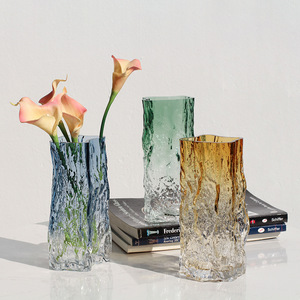 Jarrón de Vidrio Transparente con Degradado Intenso Estilo Nórdico, para Flores y Plantas Verdes, Decoración de Mesa, Jarrón Hidropónico Simple - Product Image 3