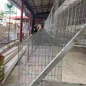 Batería tipo A para criar huevos, poner <span class=keywords><strong>pollos</strong></span>, gallinas, jaulas, nuevo, duradero y fácil <span class=keywords><strong>de</strong></span> instalar, certificado ISO9001 - Product Image 4