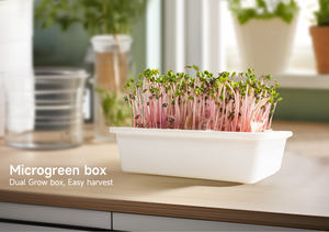 ชุดปลูกต้นไม้ไมโครกรีนส์ถาดปลูกต้นไม้พร้อมฝาปิดชุดเพาะต้นอ่อนวัสดุ PP - Product Image 4