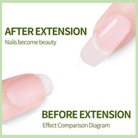 Bellinails Fournisseur D'ongles Gelée Construire Gel Sculpté En Vrac En Gros Uv Ongles Extension Gel De Construction Gel Dur