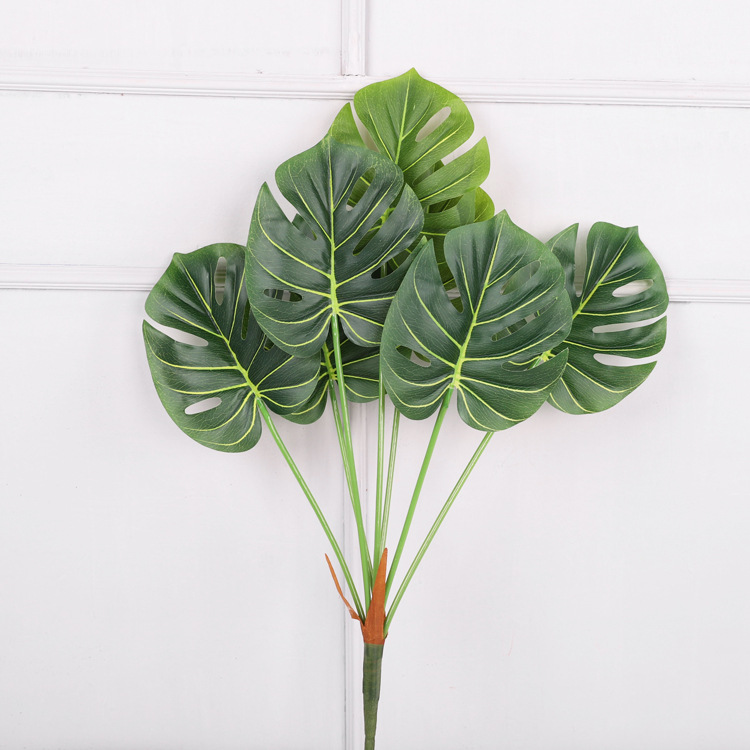 Hoja de Monstera Nórdica de 7 Cabezas, Verde