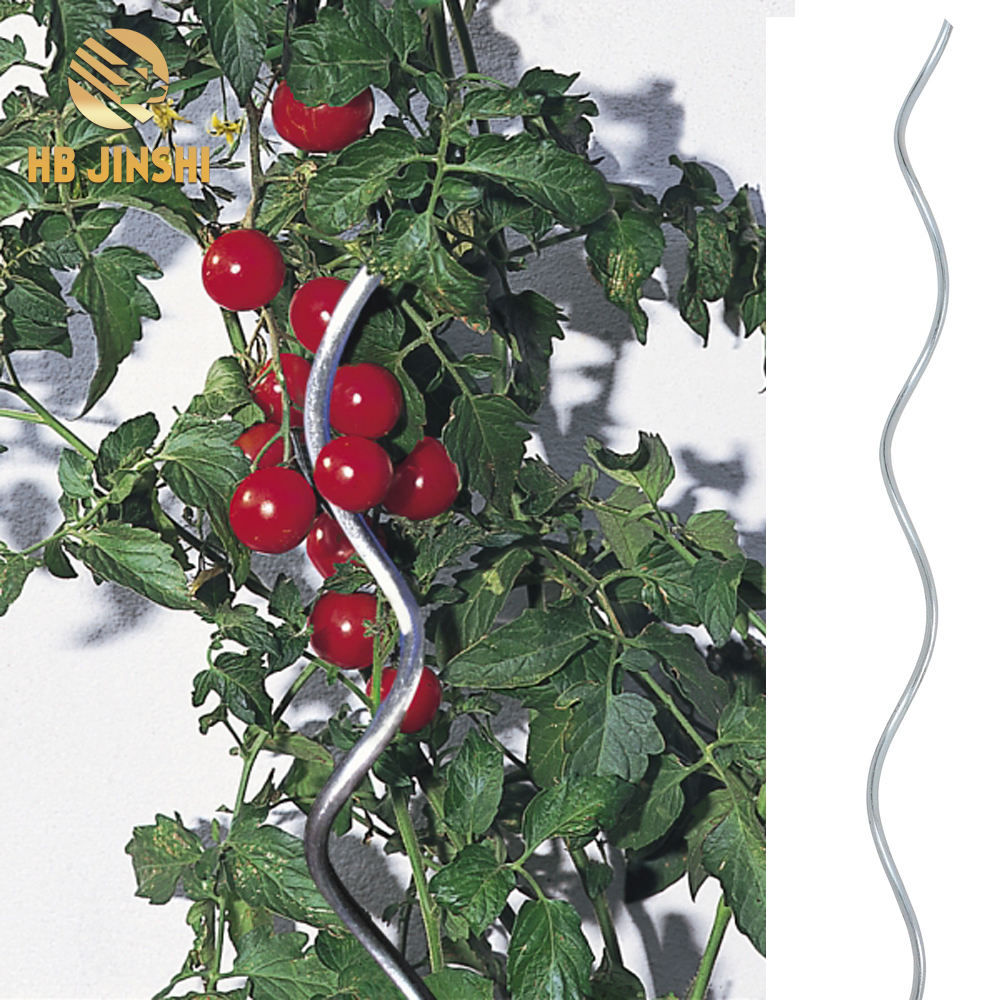 20 Pezzi Bastoni A Spirale Per Pomodori - Acciaio Zincato, Lunghezza 180 Cm, Per Piante Rampicanti - Foto 5