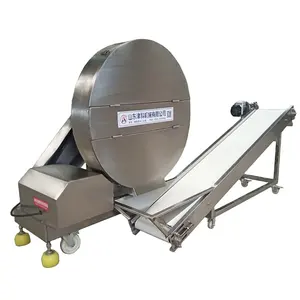 Frozen meat planing machine/Meat planing machine