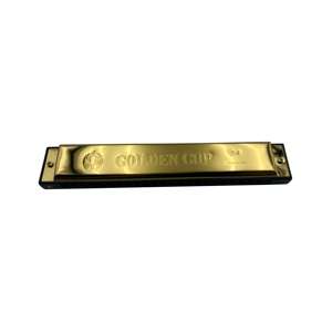 <span class=keywords><strong>Harmonica</strong></span> <span class=keywords><strong>diatonique</strong></span> de haute qualité JH024A-5 de Seasound Factory, 24 trous, résine, acier inoxydable, boîte dorée en ABS, prononciation améliorée - Product Image 1