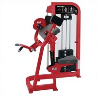 Équipement de musculation pour usage commercial, machine d'entraînement en acier réglable pour les biceps, les bras, les jambes, le dos, entraînement physique