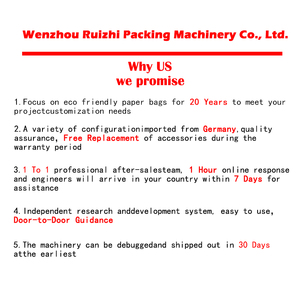 Máquina para hacer bolsas de papel con mango de RZFD-330F, máquina para hacer bolsas de comida, precio - Product Image 2