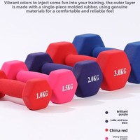 Haltères en plastique pour femmes, fitness à domicile, relaxation musculaire, petits haltères fins pour les bras, unisexe, pour étudiants et enfants