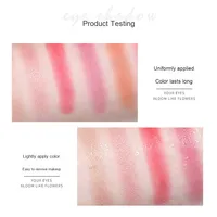 Großhandel 6 Farben Langlebige wasserdichte Schimmer Matte Lidschatten Palette Profession elle Perl glanz Rotbraun Erd pulver
