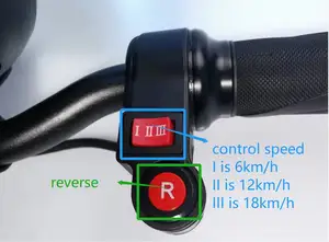 Nihai kolaylık sunan gizli bombacı elektrikli bisiklet