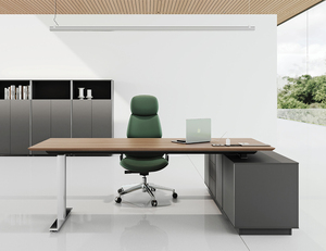 Tùy chỉnh hiện đại điều hành văn phòng Sit-Stand bàn điện rắn gỗ chân thép nhỏ nâng chiều cao có thể điều chỉnh chuyển đổi - Product Image 3