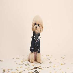 יוקרה גבוהה לחיות מחמד מעיל כלב מעיל <span class=keywords><strong>corgi</strong></span> bichon teddy כלב בגדים חתול מעיל מעיל - Product Image 6