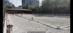 Hàng rào Đấu Trường được phê duyệt cưỡi ngựa bởi chinajumps với thiết kế chống gió ổn định - Product Image 5