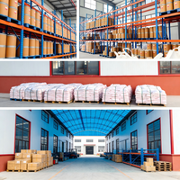 Poudre de pigment céramique inorganique à base d'oxyde ferrique TIANHUIBAO (Hebei) pour les applications de poterie et de revêtement à haute température