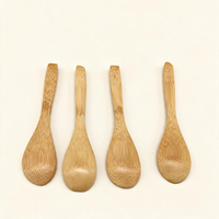 Cuillères en bois jetables avec logo personnalisé, différentes tailles, petites cuillères en bambou pour le miel/le café/l'huile de coco/la soupe