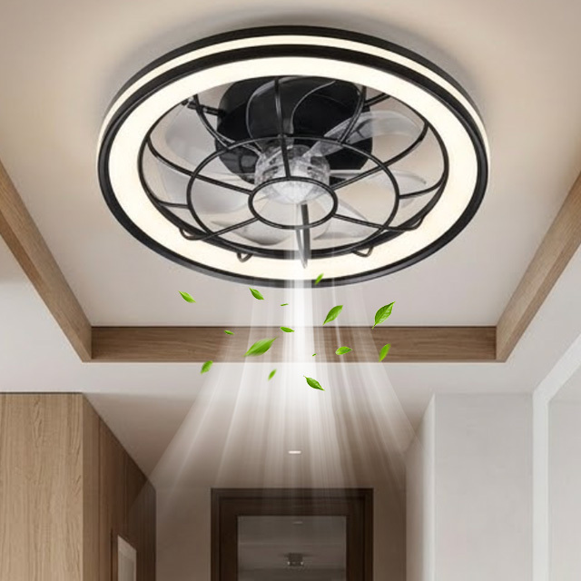 Ceiling Led Fan Light 5 Blades DC Motor Bedroom Living Room Dimming Home Decor 3 CCT Remote Control Modern 6-Speeds