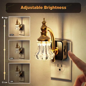 Luci Notturne LOHAS con Presa a Muro, Dimmerabili 0-100 LM, Lampada LED a Fiore in Vetro 1W, Luce Notturna Vintage per Bagno e Corridoio - Product Image 4