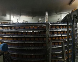 クッキービスケットハンバーガーホットドッグブレッドケーキパッケージベーカリー機器スパイラル空冷モジュラーチェーンローラータワーコンベヤー - Product Image 2