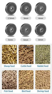 Machine à palettes pour l'alimentation animale, machine à fabriquer des granulés d'aliments, complète avec pièces détachées pour machine à granulés. - Product Image 4