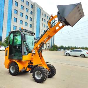 Diskon diesel <span class=keywords><strong>loader</strong></span> depan murah <span class=keywords><strong>400KG</strong></span> - Product Image 6