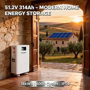 Sistem Energi Surya 51.2V 314Ah 16kWh Baterai Terpasang di Dinding dengan Roda - Product Image 5