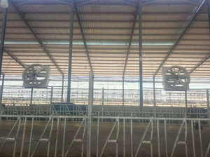 <span class=keywords><strong>Ventilateur</strong></span> cyclonique de ventilation pour ferme laitière, extérieur, vache, alliage d'aluminium et de magnésium, 2M, moteur de <span class=keywords><strong>ventilateur</strong></span> mural OEM AC, protection IP55, 6 pièces - Product Image 6