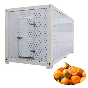 Walk-in blast cold room vegetable cold room small, medium and large freezer fresh meat cooling freezer solar cold room storage