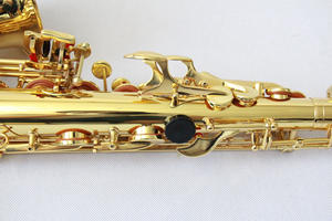 Saxofón <span class=keywords><strong>alto</strong></span> OEM <span class=keywords><strong>para</strong></span> principiantes y estudiantes Saxofón <span class=keywords><strong>alto</strong></span> de color dorado en tono EB con estuche rígido y <span class=keywords><strong>boquilla</strong></span> de accesorios - Product Image 5