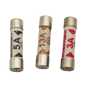 Car Fuse BS Series Ceramics Time Delay Fuse 3A 5A 8A 10A 13A BS1362 Series Thermal Fuse